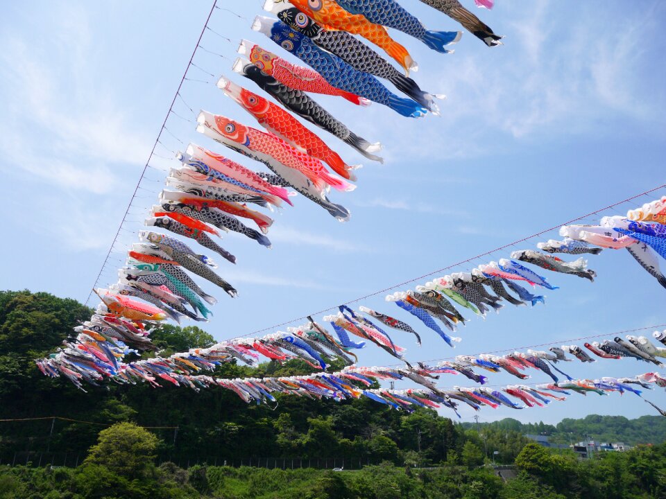 Koinobori childrens day