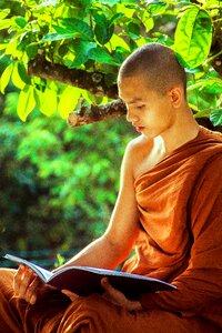 Monk buddhism reading book photo