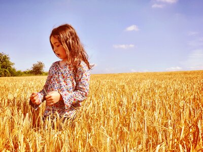 Little girl wheat field photo
