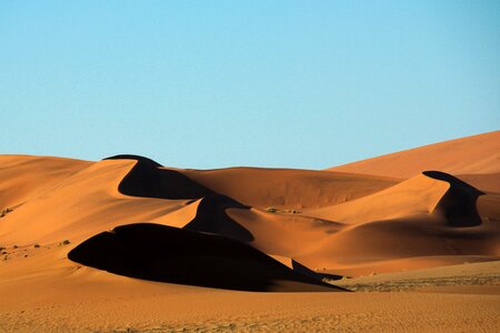 Namibia desert dune