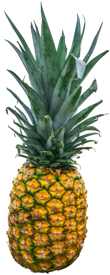 Pineapple fruit food