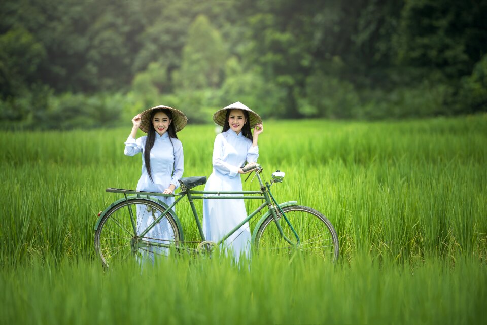 Rice field women bicycle