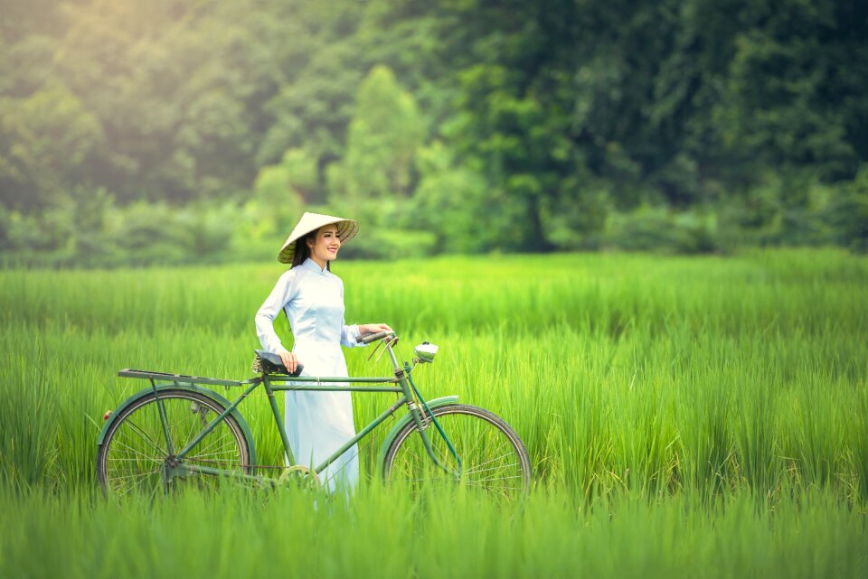 Rice field woman bicycle