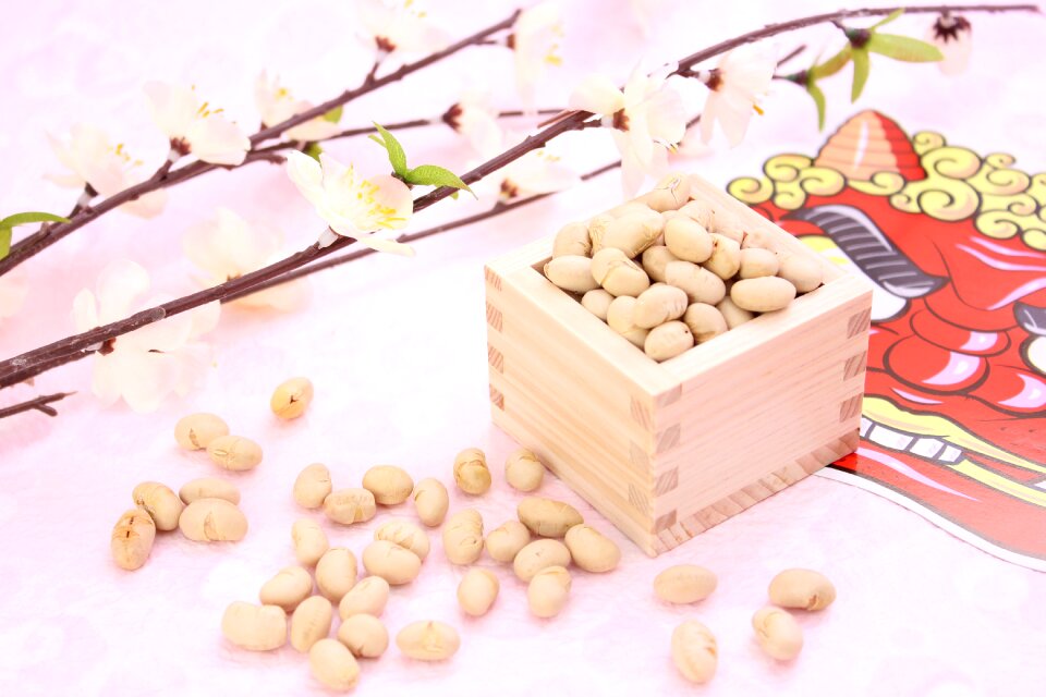 Setsubun roasted beans