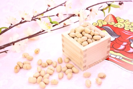 Setsubun roasted beans photo