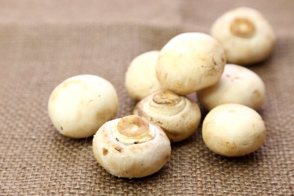 Portobello mushroom