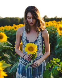 Sunflower woman girl photo