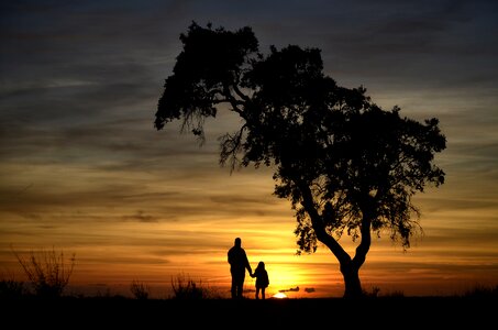 Sunset family tree