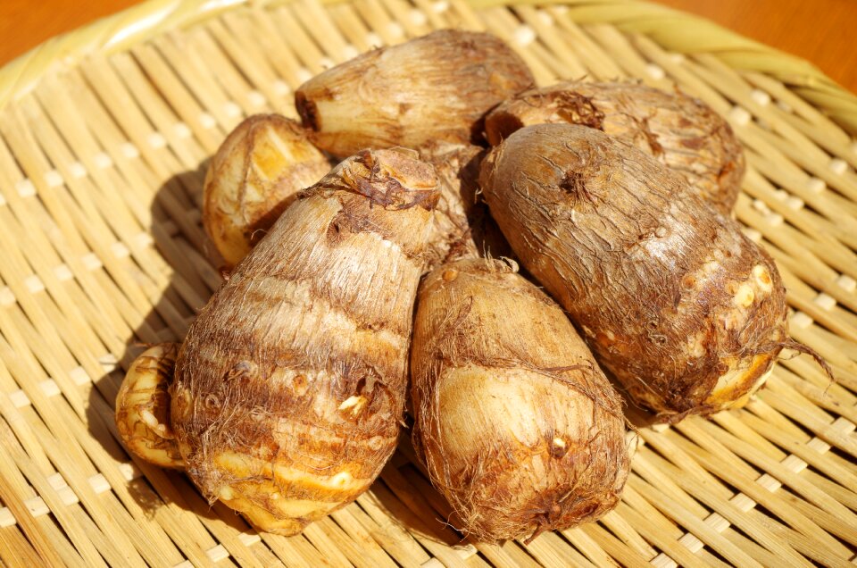 Taro vegetable food