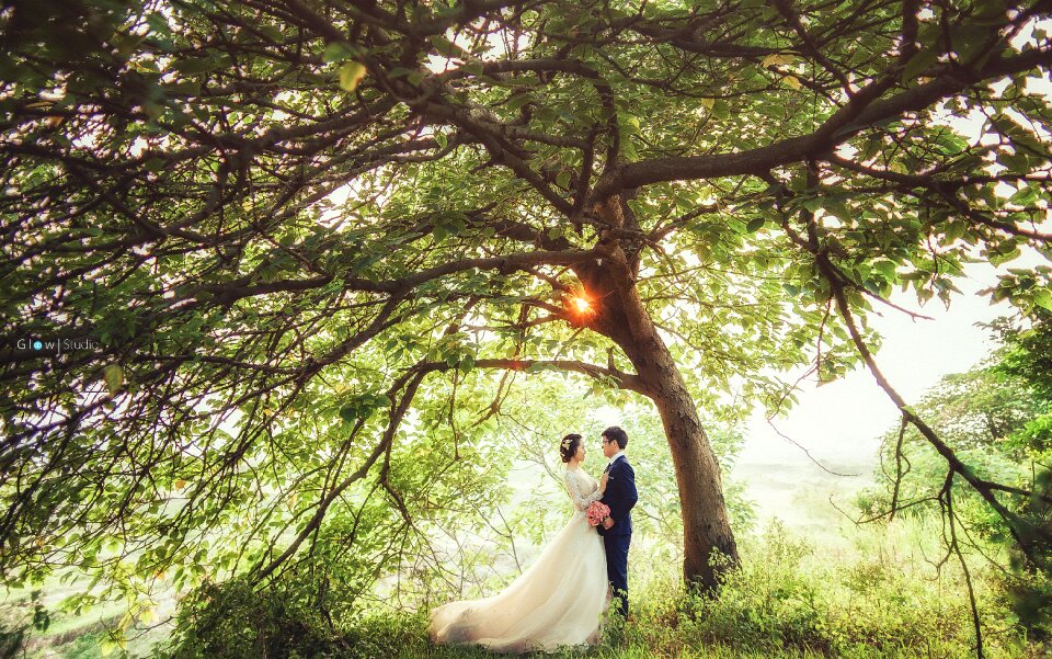 Tree bride groom wedding