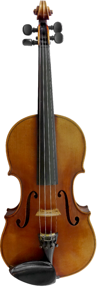Violin musical instrument