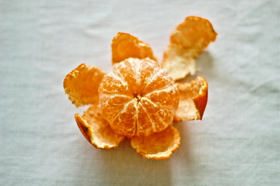 Unshu mikan fruits