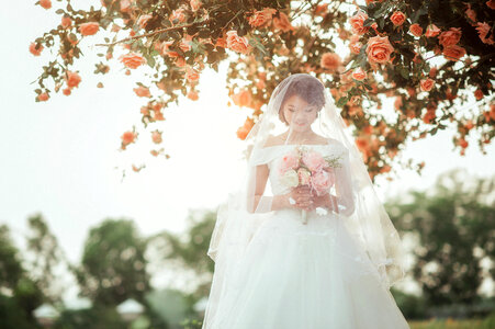 Wedding dress veil bride