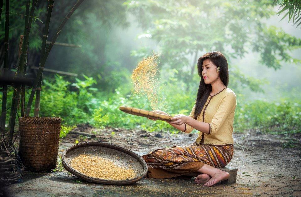 Woman farmer threshing