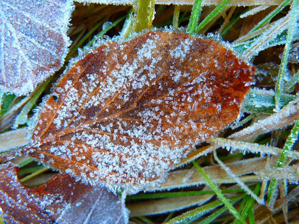 Eiskristalle crystals ice