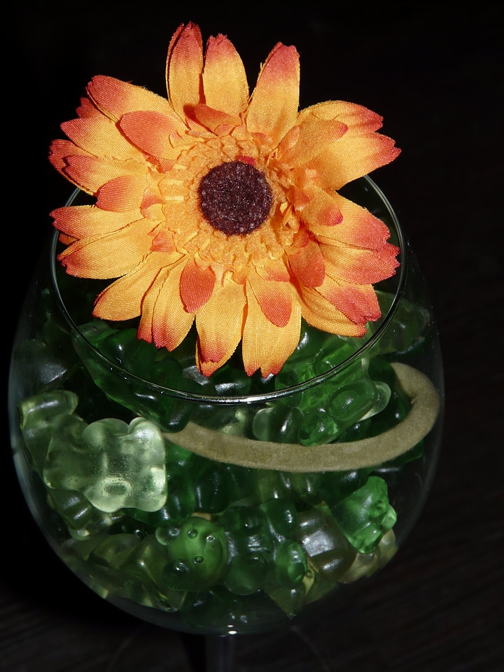 Colorful gift wine glass