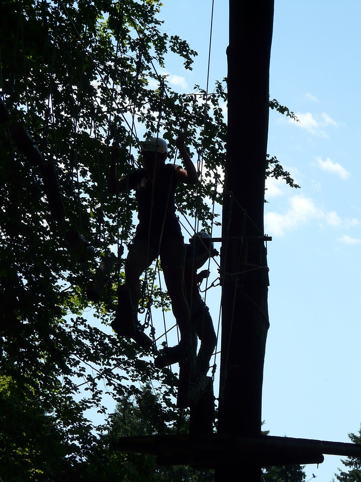 Drex forest ropes climbing garden