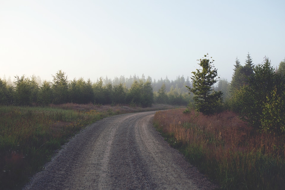 Free photo of early morning road.