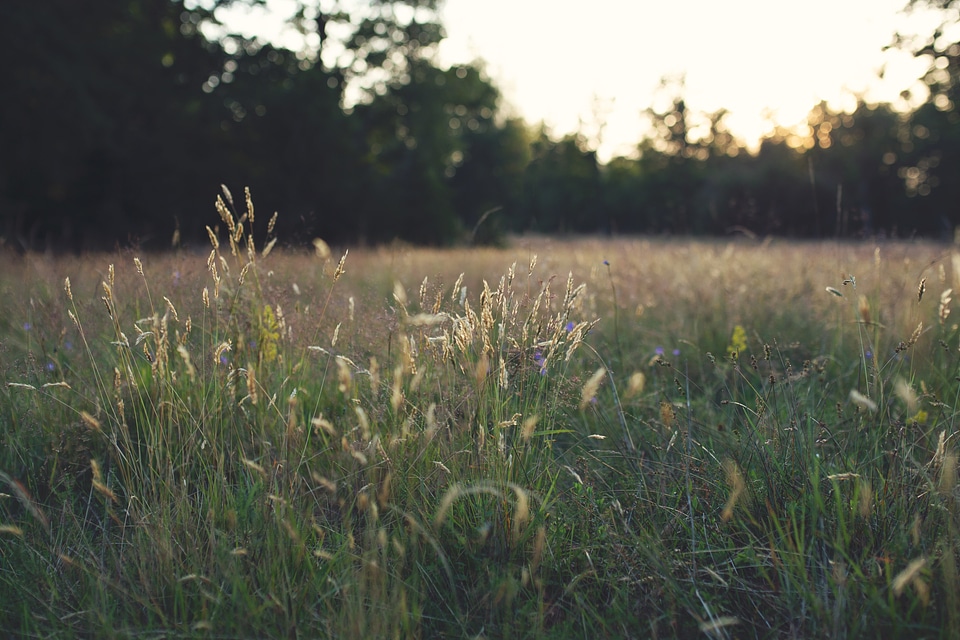 Not very suprising, but the sun did set once more in Småland, Sweden