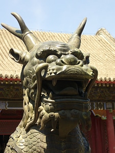China dragon mythical creatures photo