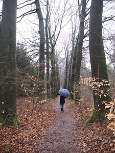 Canopy ground human photo