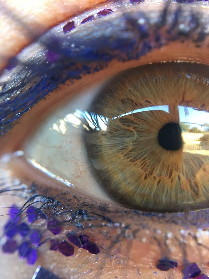 Animal contact lens detail