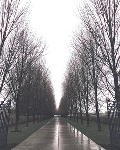 Asphalt autumn bridge