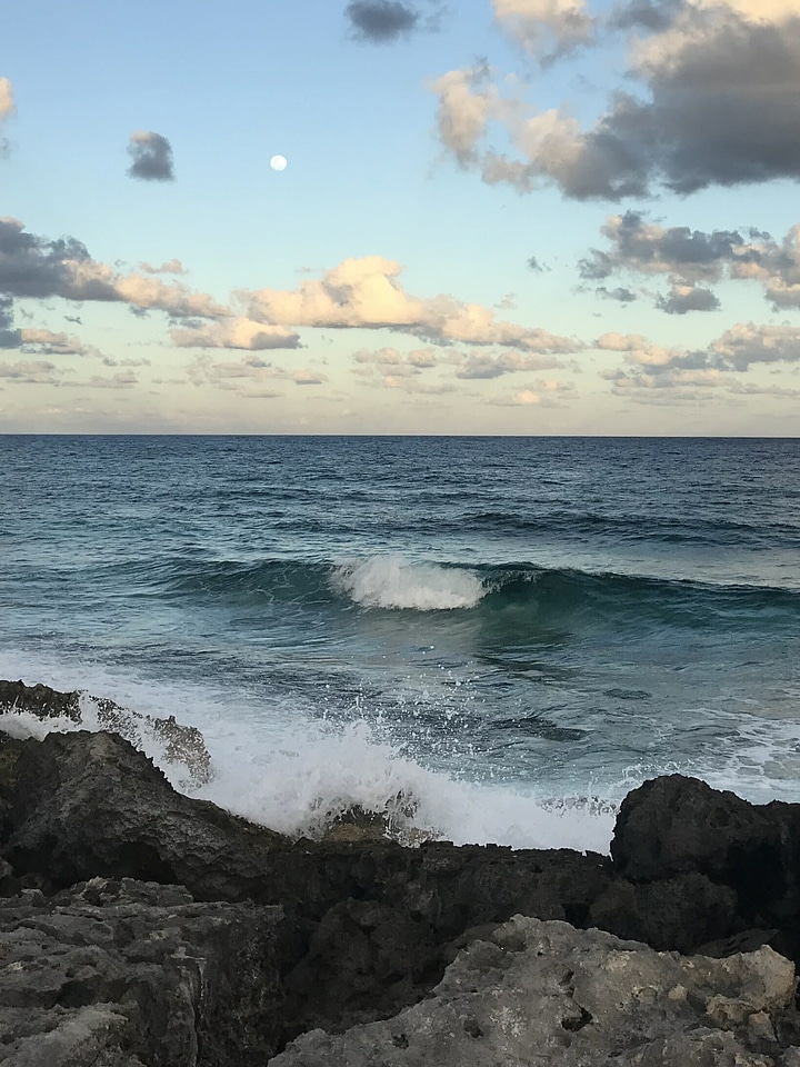 Nature ocean outdoors