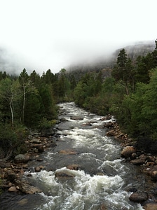 Creek fog green photo