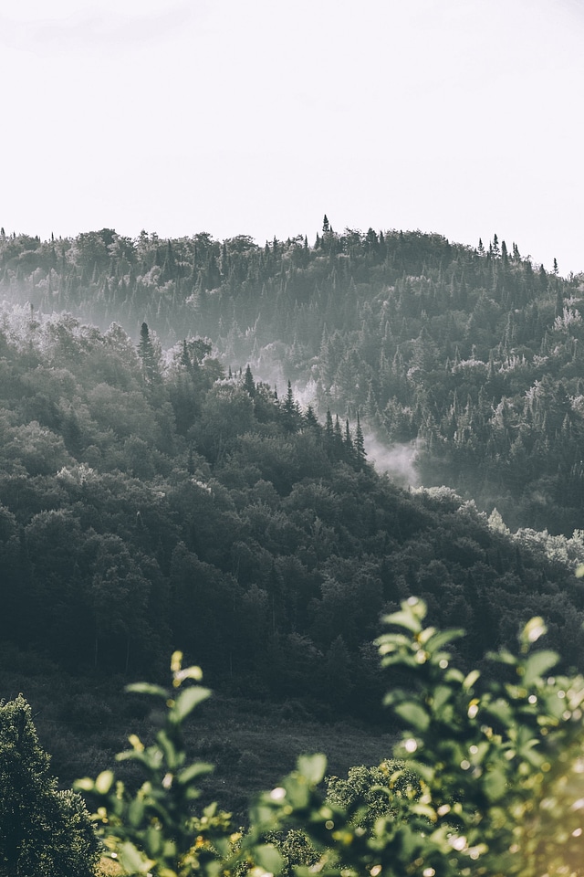 Hills mist slope