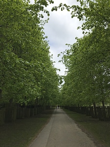 Arbour asphalt garden