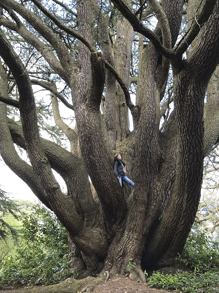 Branches human outdoors