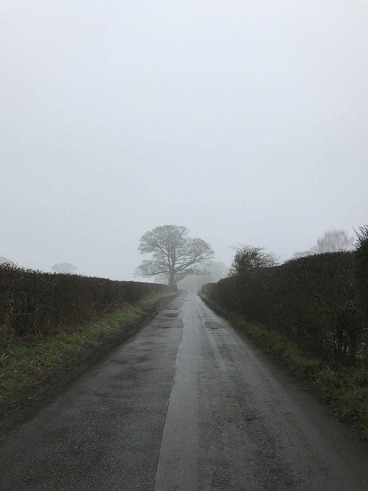 Asphalt backroad fog