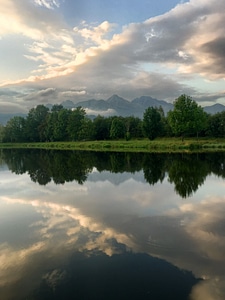 Abies fir lake photo