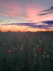 Countryside farm field photo