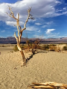 Desert dune ground