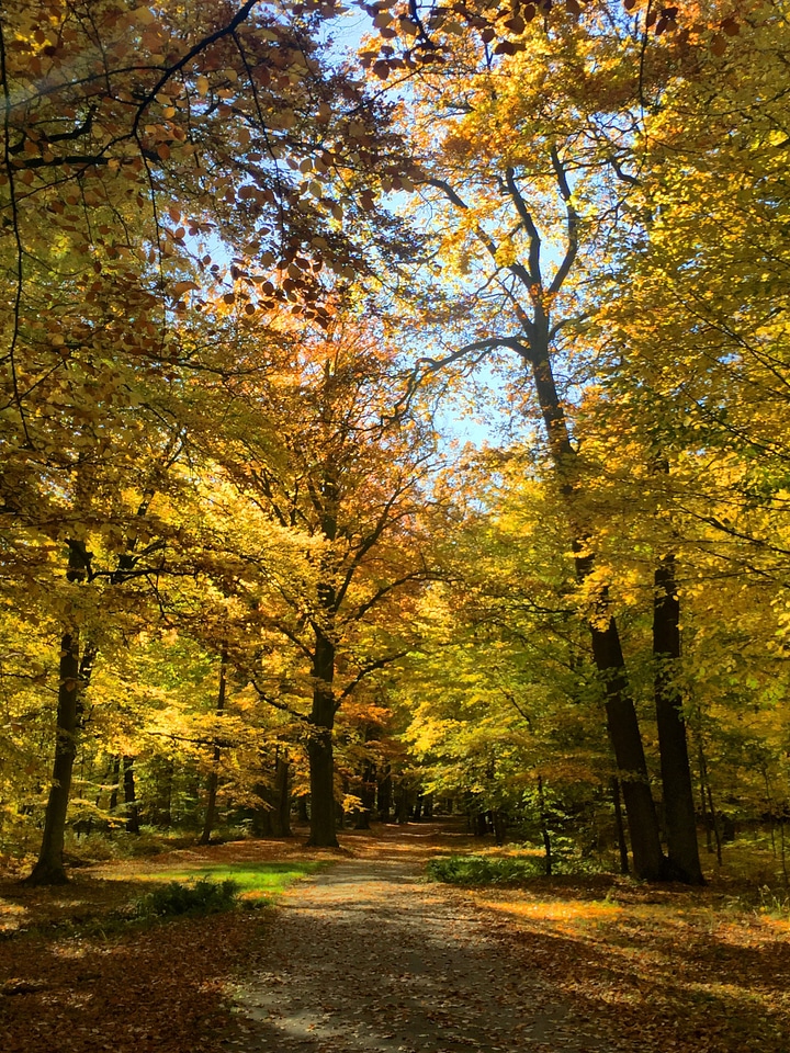 Nature outdoors path