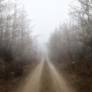 Brown dirt road fog