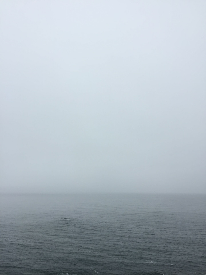 Fog gray grey