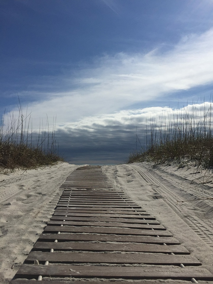 Boardwalk bridge building