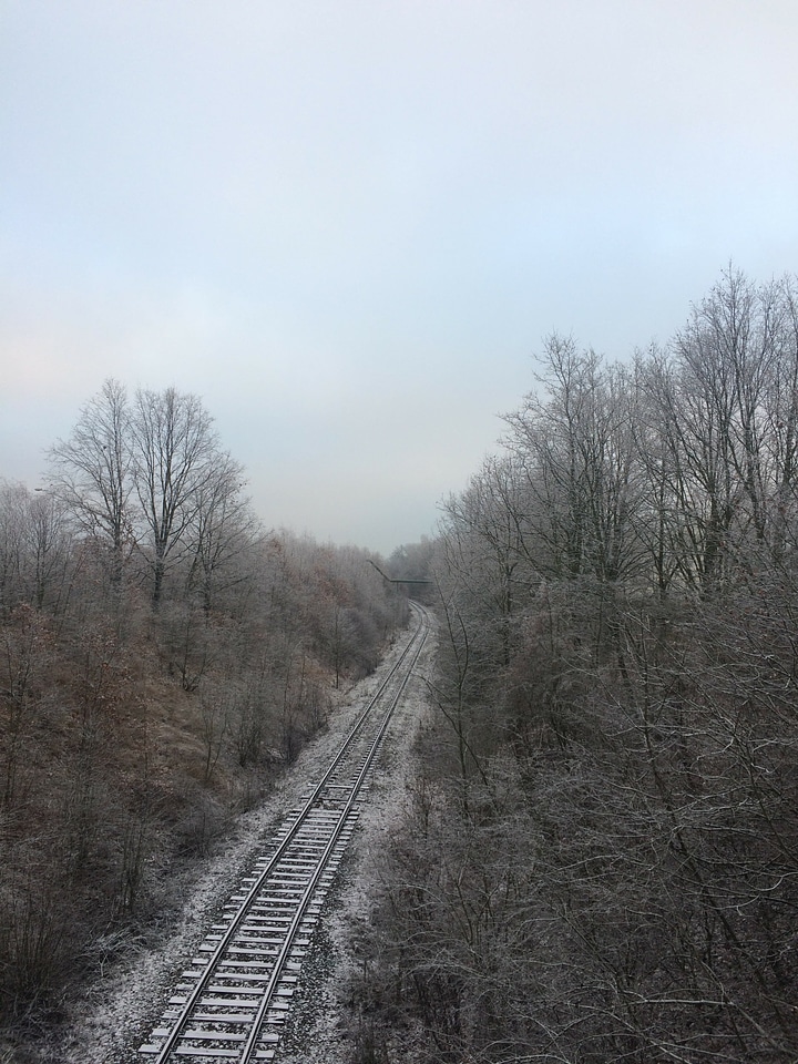 Afternoon frost frozen