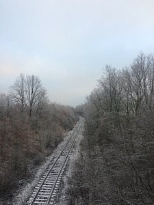 Afternoon frost frozen photo