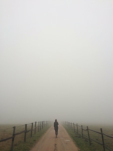 Fence field fog photo
