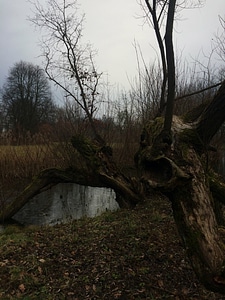 Autumn building bunker photo