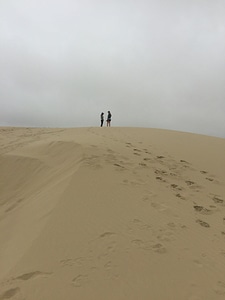 Cloudy desert dune photo