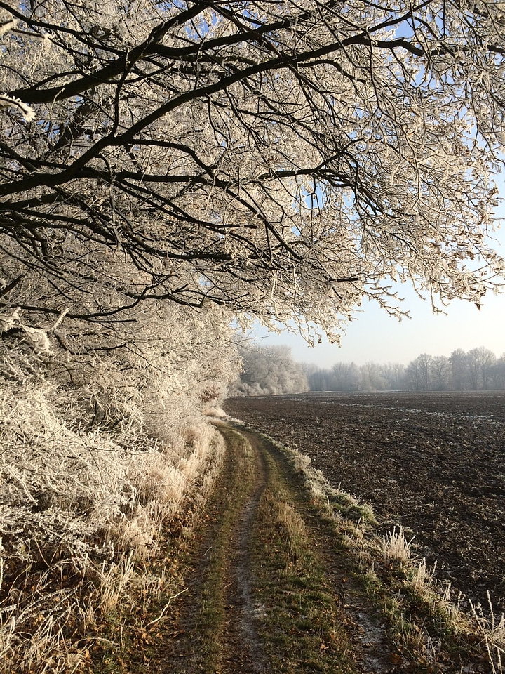 Dirt dirt road field