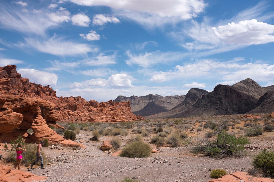 Brush clouds desert