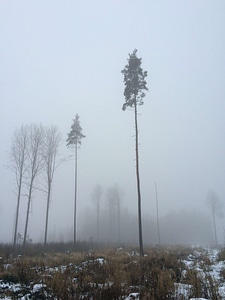 Fog haze mist photo