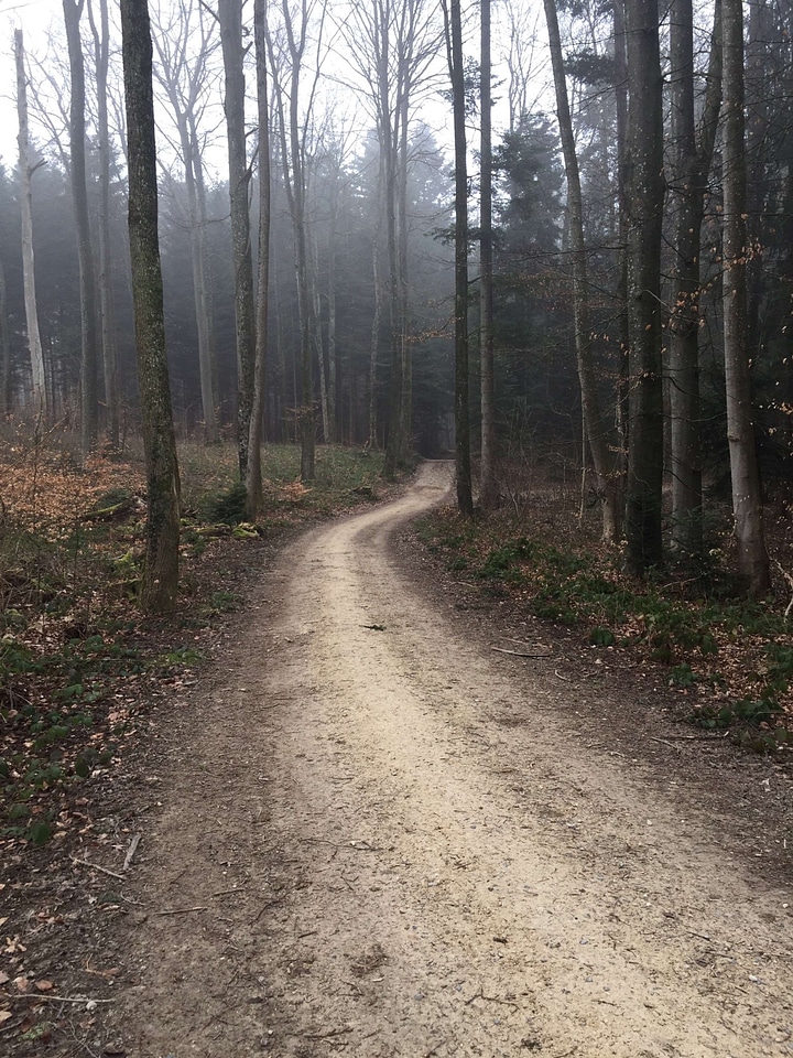 Dirt Road fog gravel photo