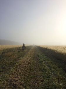 Clearing field fog photo